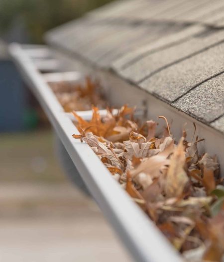 clogged-gutter-near-roof-shingles